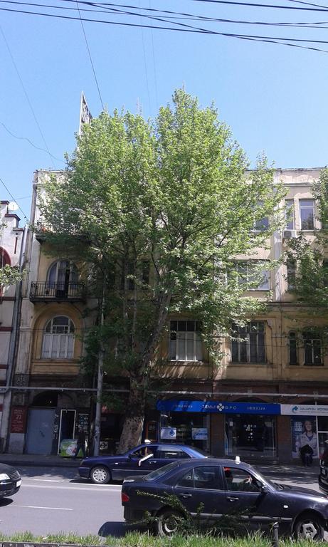 Vera Garden Apartment Tbilisi Eksteriør billede